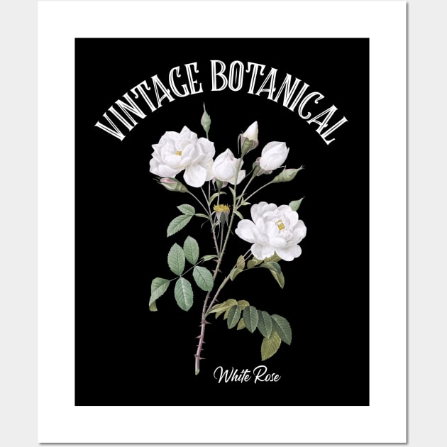 Vintage Botanical White Rose Wall Art by letnothingstopyou